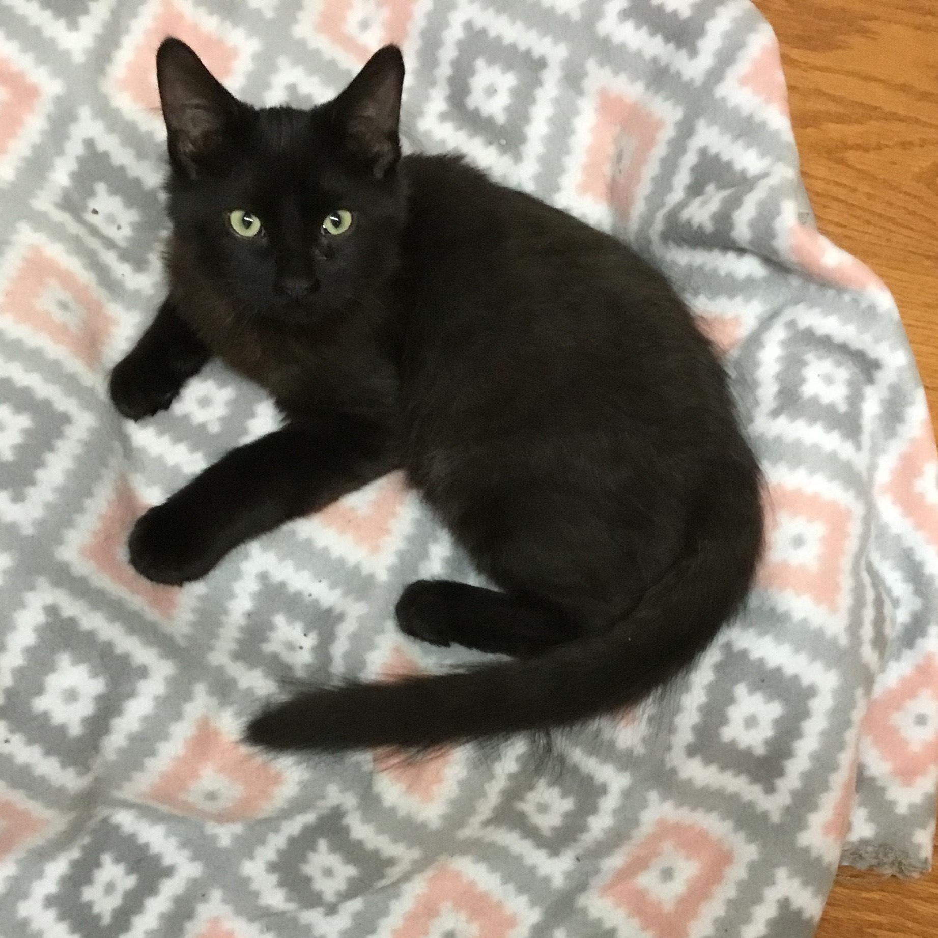 Fletcher