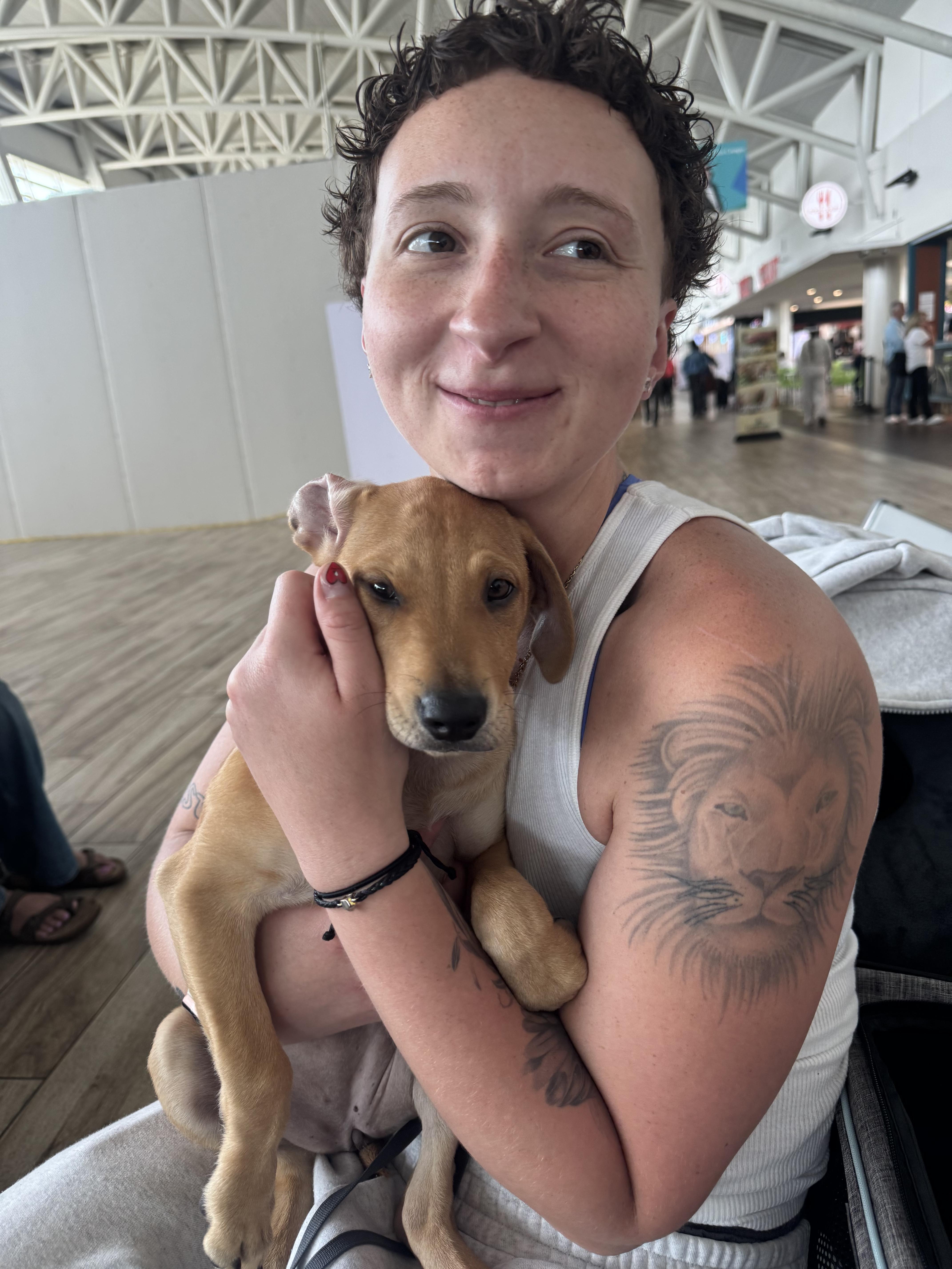 Johanna , an adopted mixed breed in New York, NY image 5/6