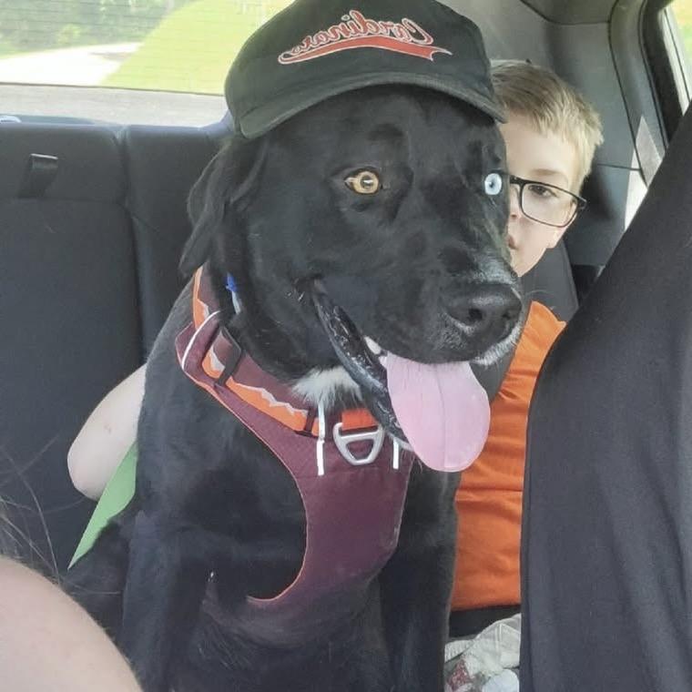 Bujuren — thumbnail 3