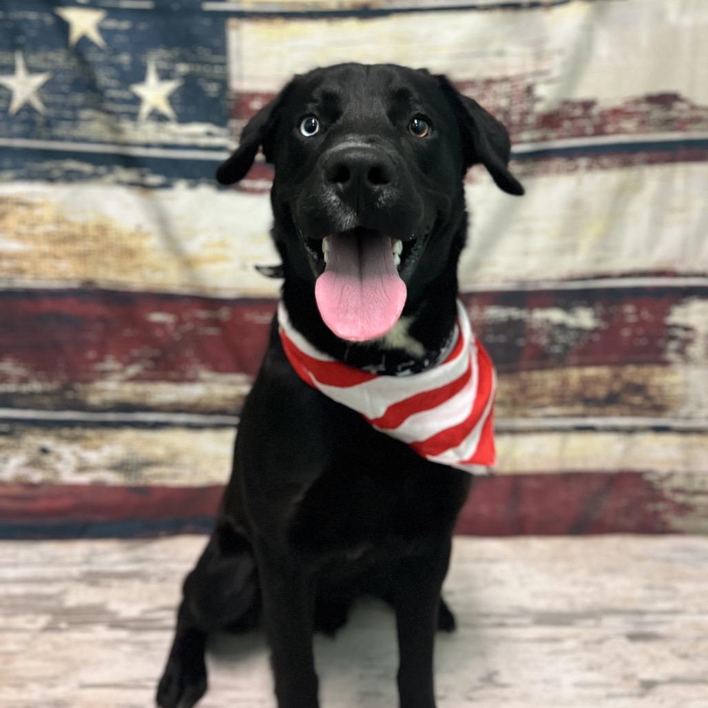 Bujuren — thumbnail 5