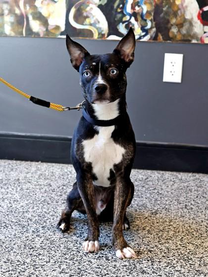 Lonnie — thumbnail 2