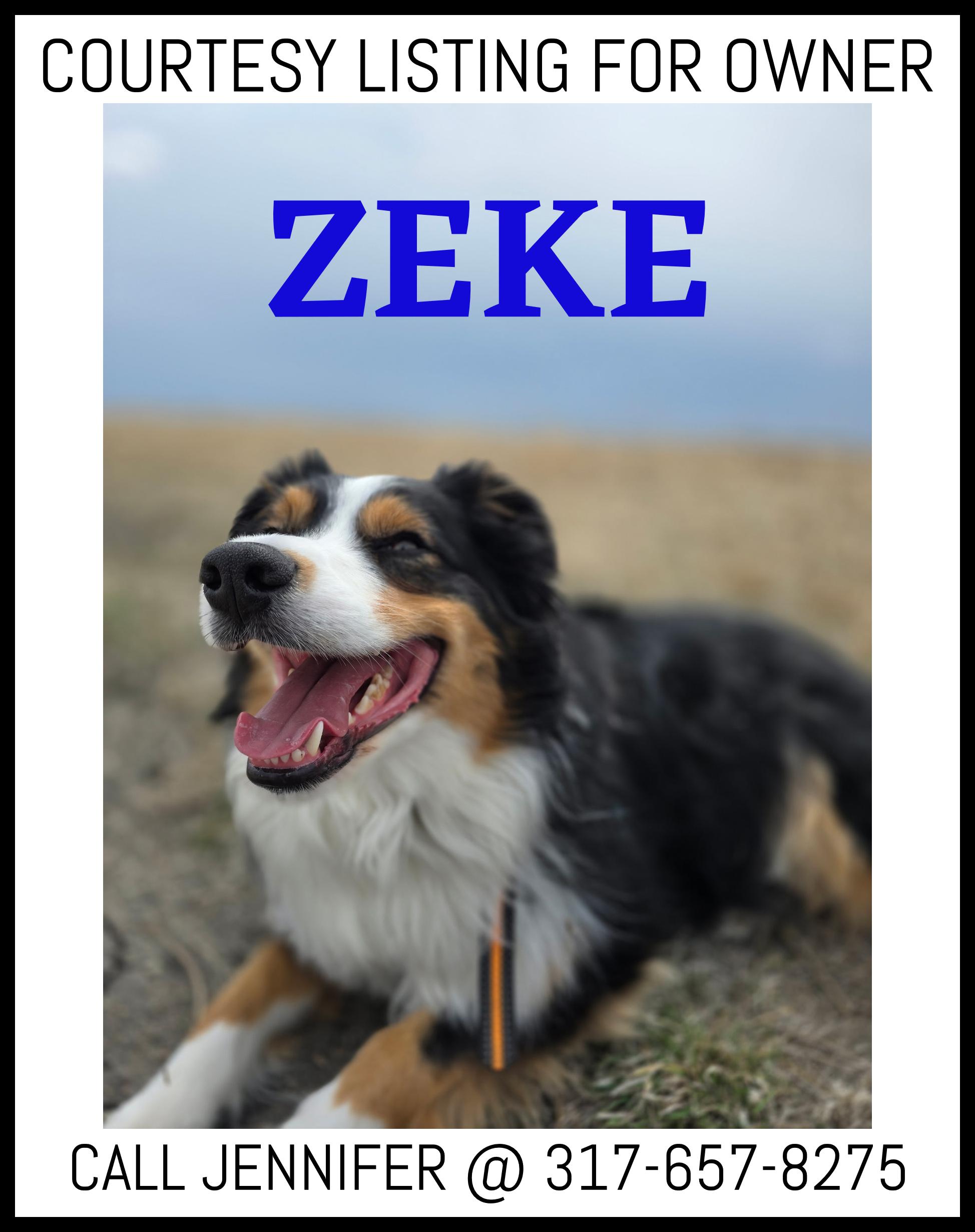Enlarge Zeke - COURTESY LISTING FOR OWNER, a Adoptable Australian Shepherd in Valley City, ND image 1/1
