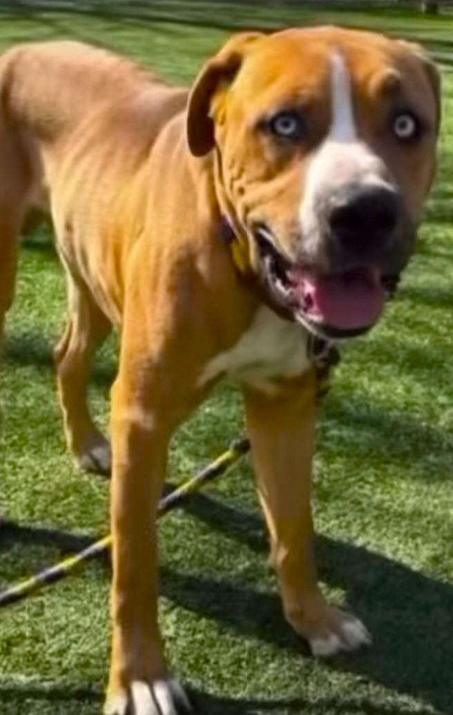 Fetti-Sweetest, Soulful Friend