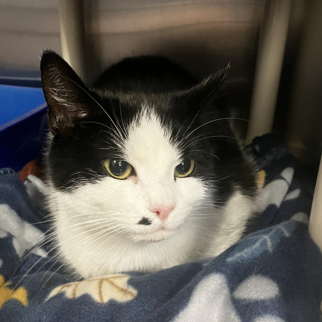 Madonna — thumbnail 2