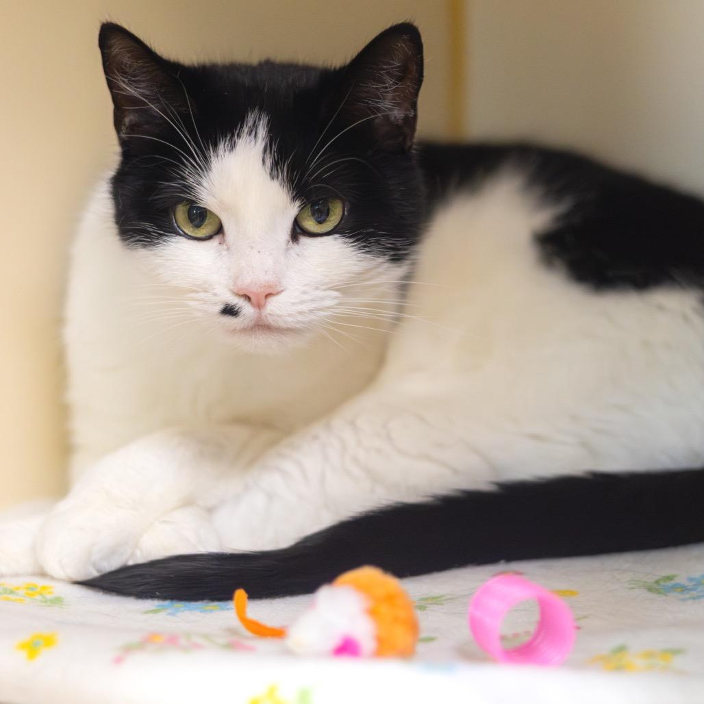 Madonna — thumbnail 3