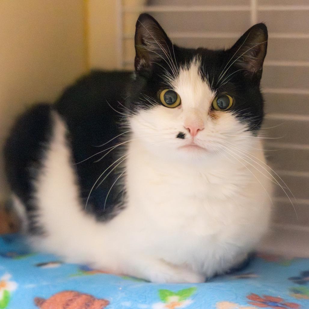 Madonna — thumbnail 4