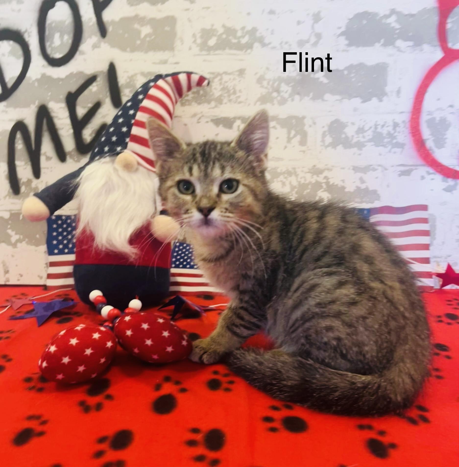 Flint