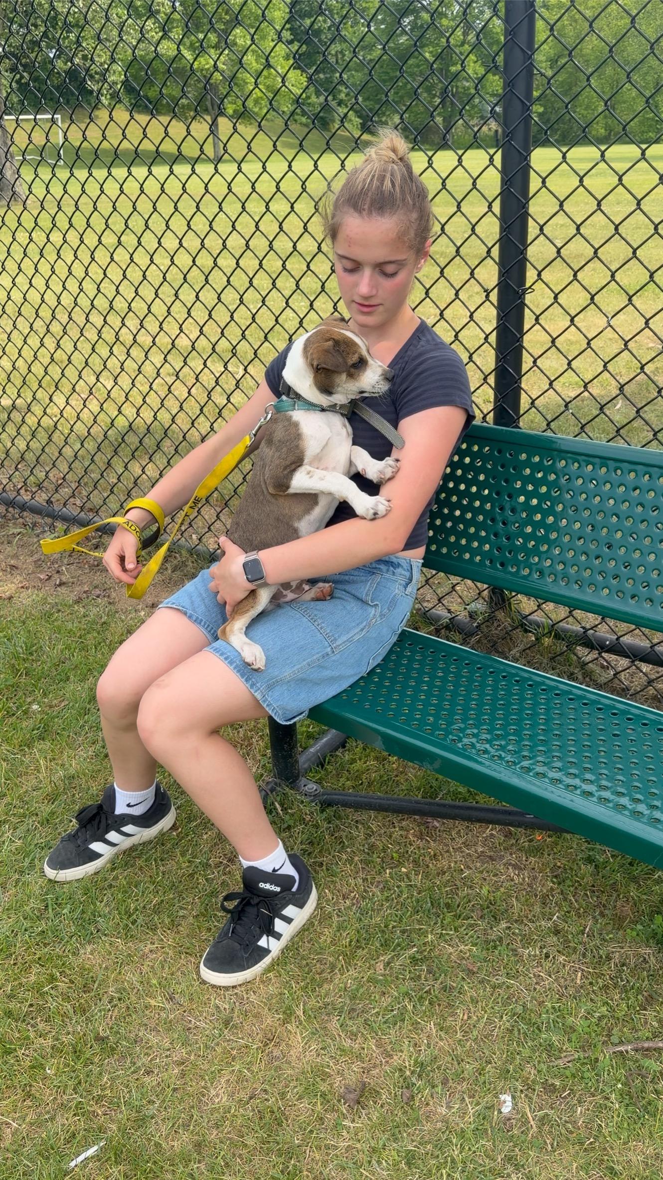 Enlarge Randi, a Adoptable mixed breed in Ridgefield, CT image 4/6