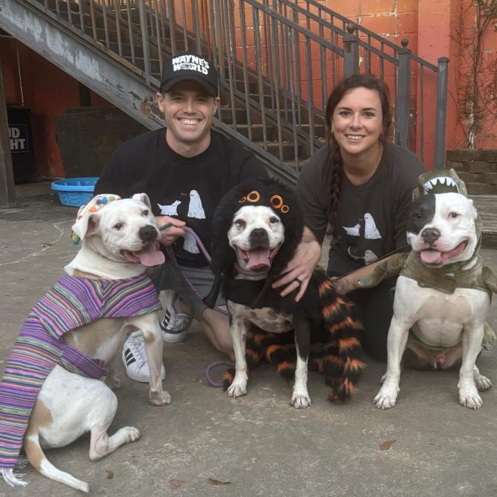 Will (Jessie), a Adoptable Mixed Breed image 5/6