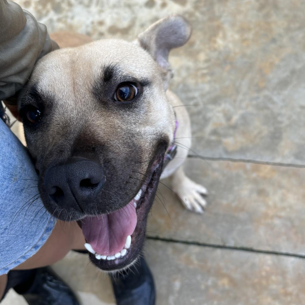 Hm Marsa thumbnail 6