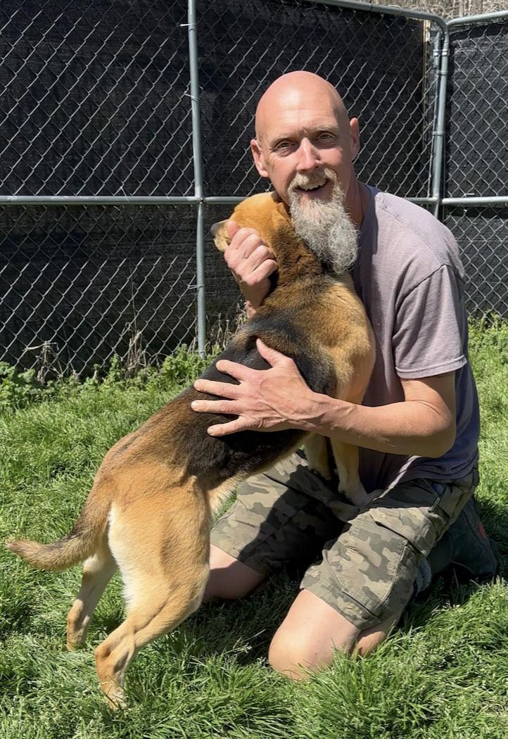 Lorilei, a Adoptable Beagle in Thomasville, NC image 1/3