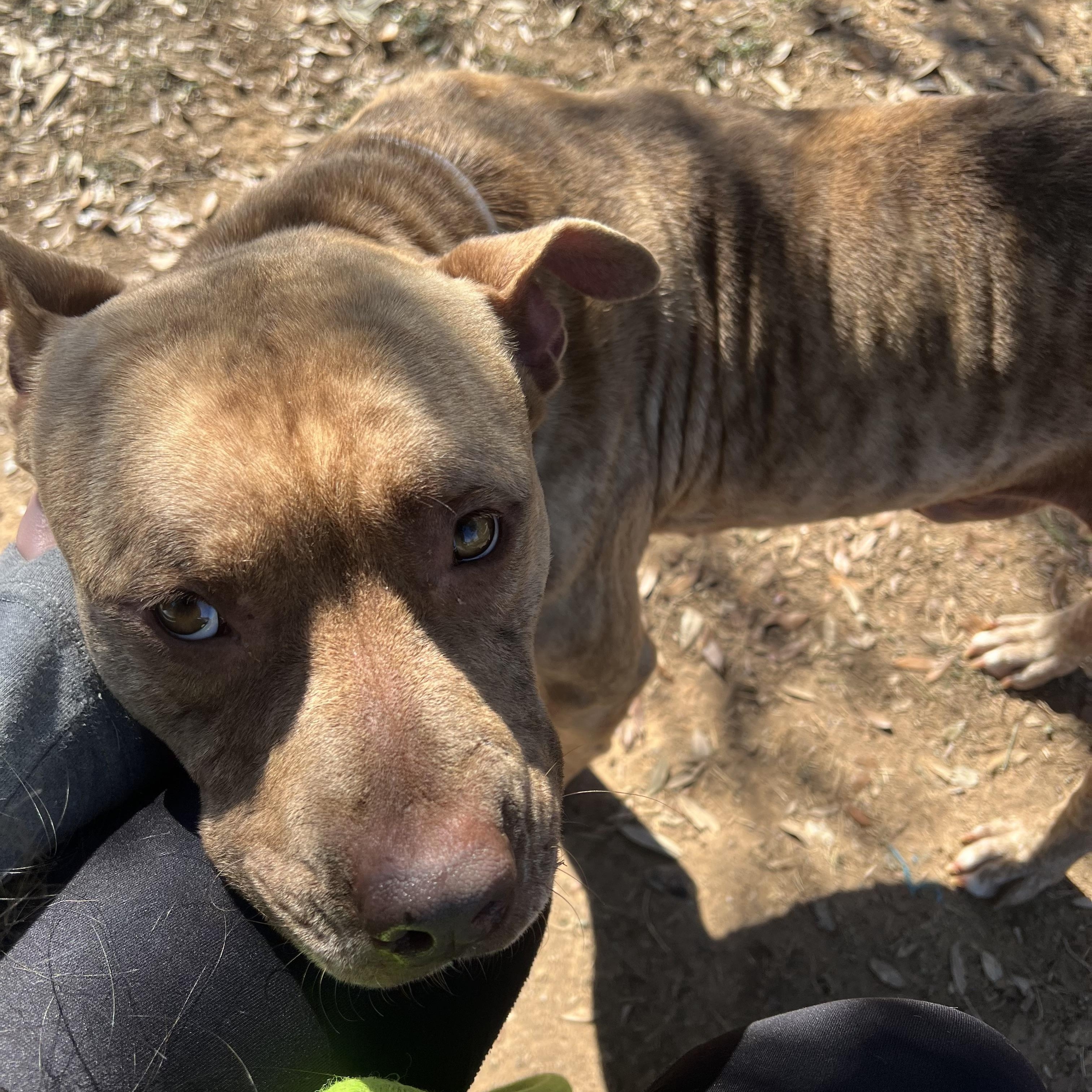 Jerry — thumbnail 2