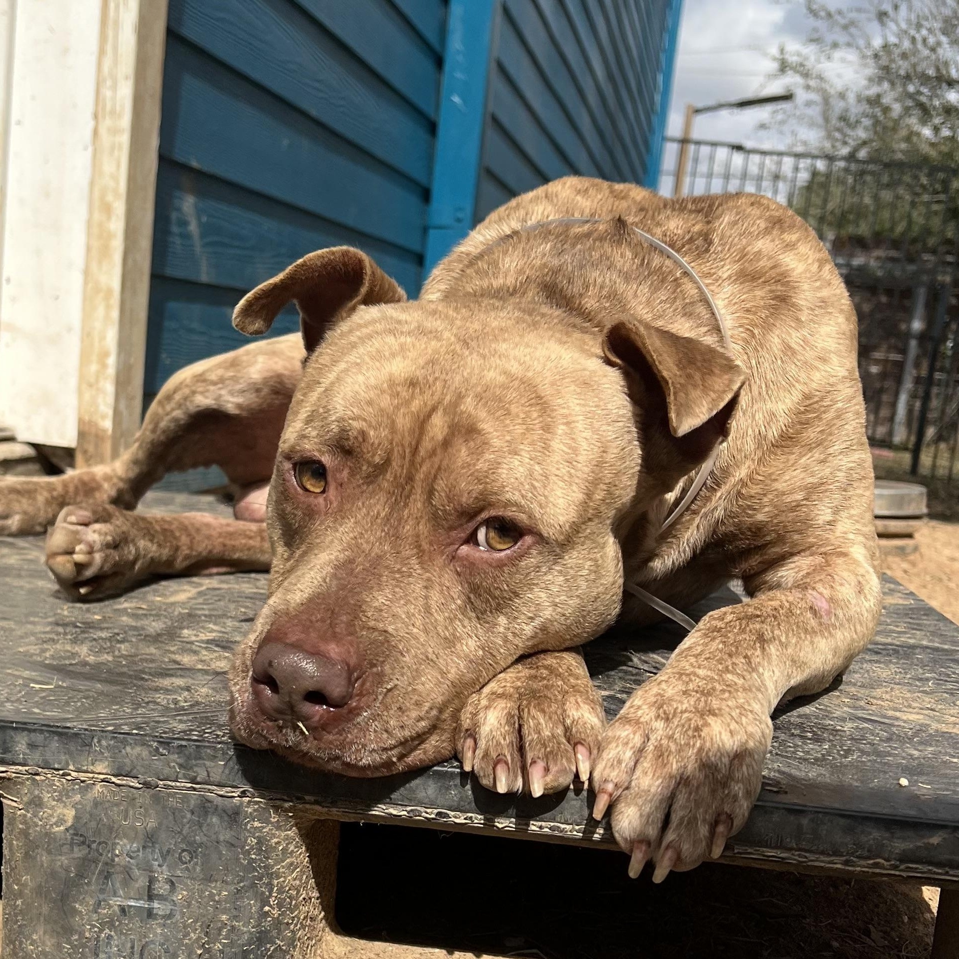 Jerry — thumbnail 3