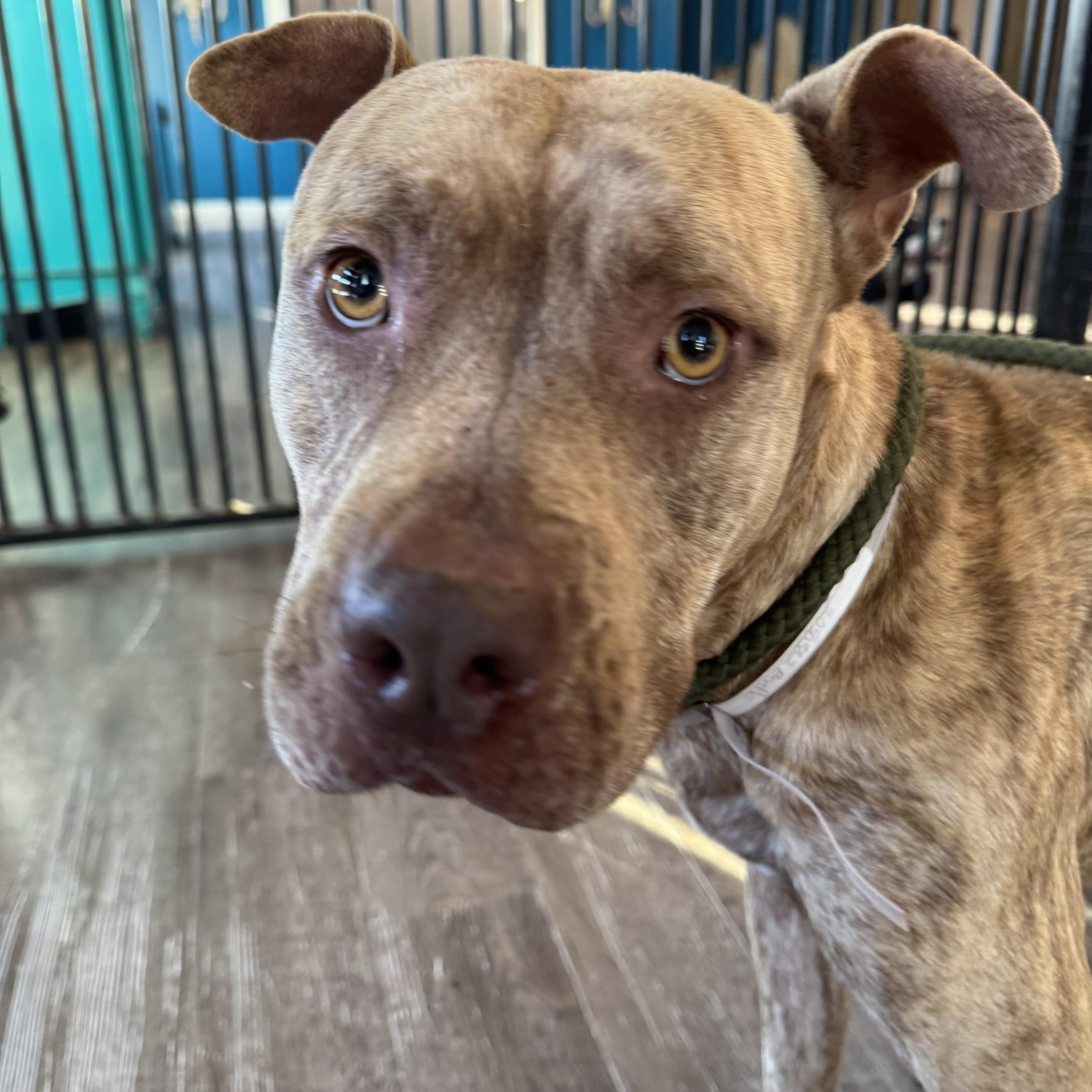 Jerry — thumbnail 4