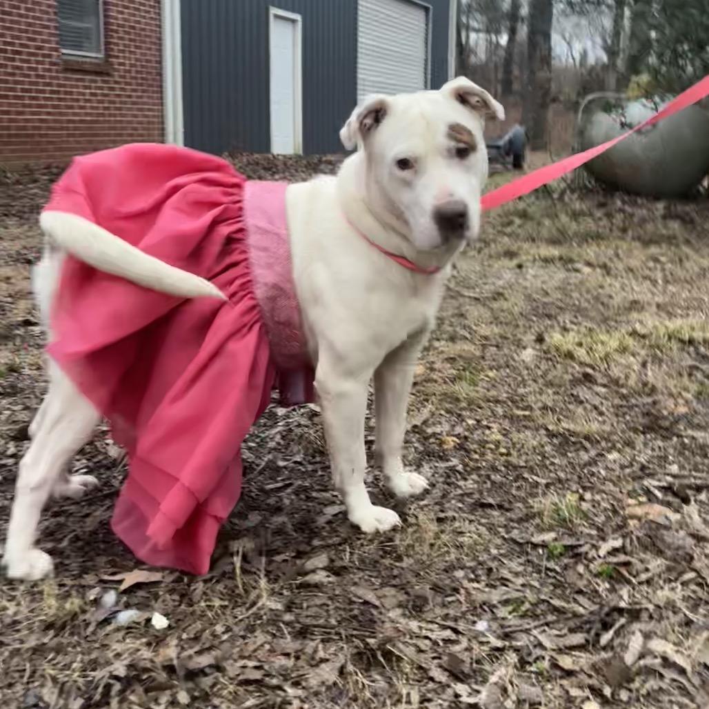 Paris — thumbnail 2