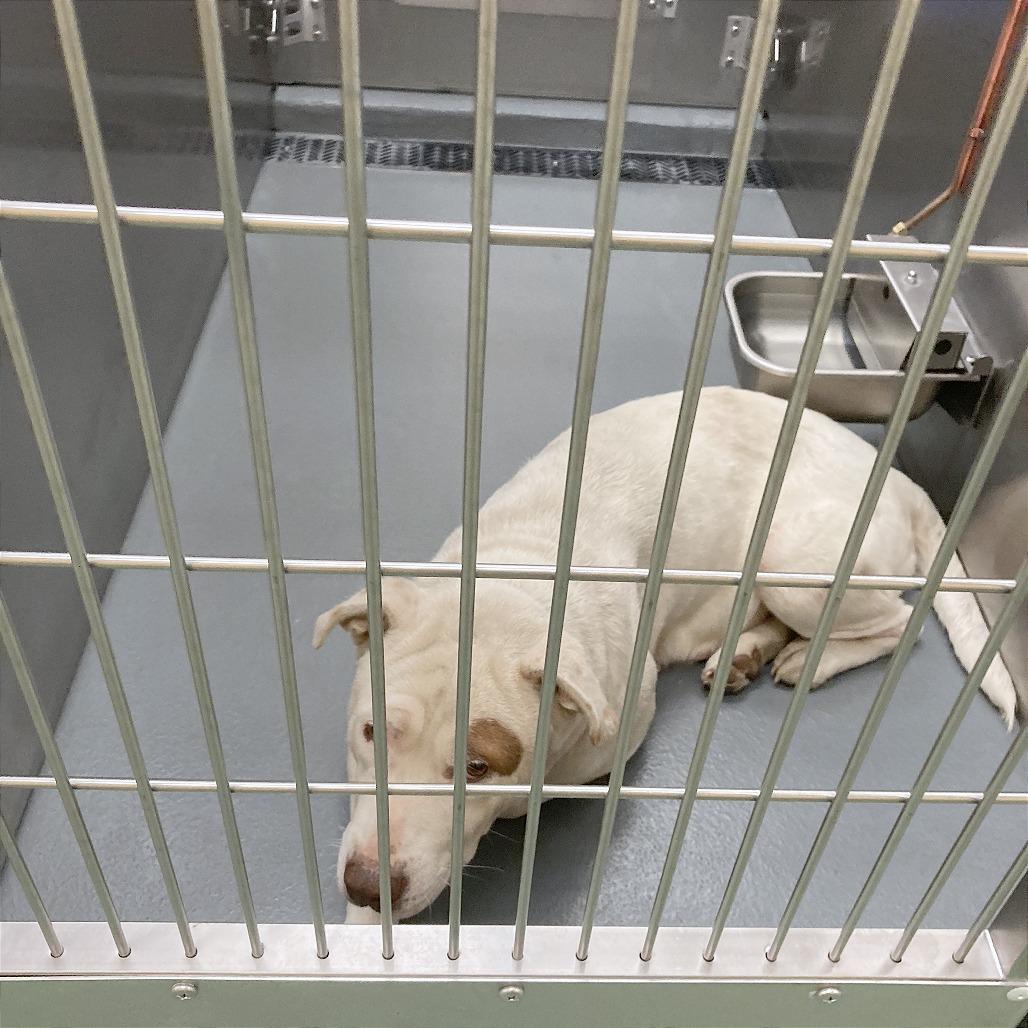 Paris — thumbnail 3