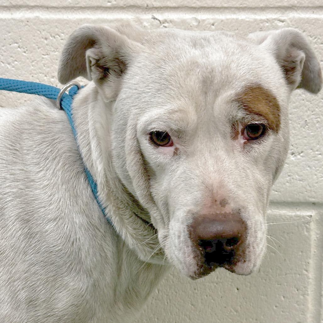 Paris — thumbnail 5