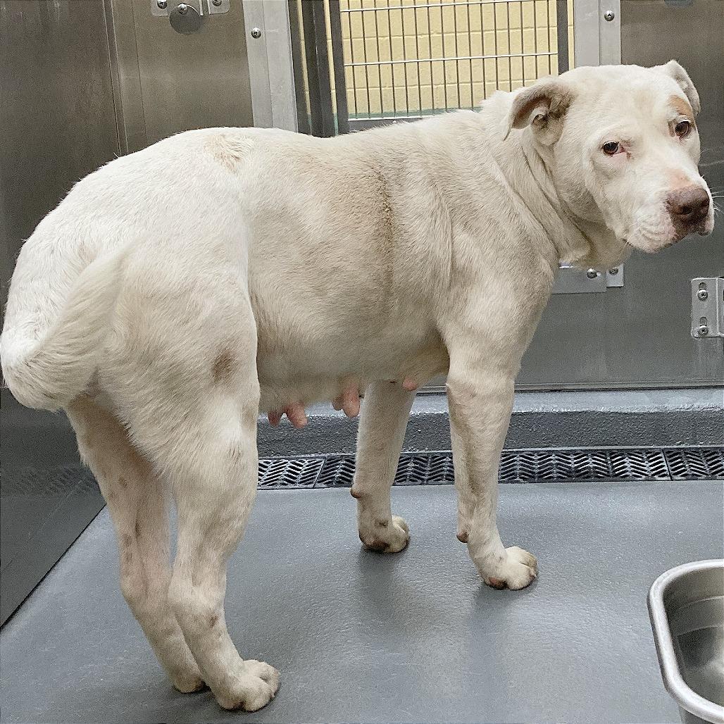 Paris — thumbnail 6