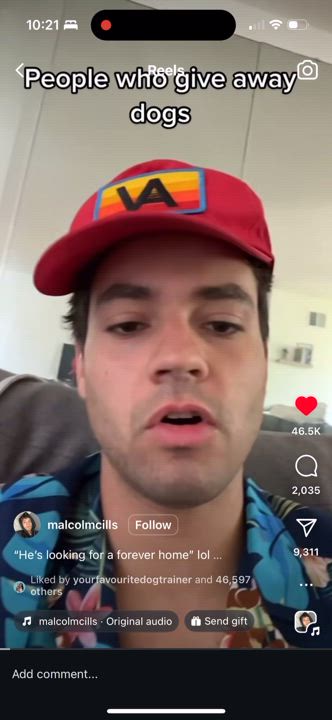 Enlarge Ferret Trio!, a Adopted Ferret in Nashville, TN video 6/6