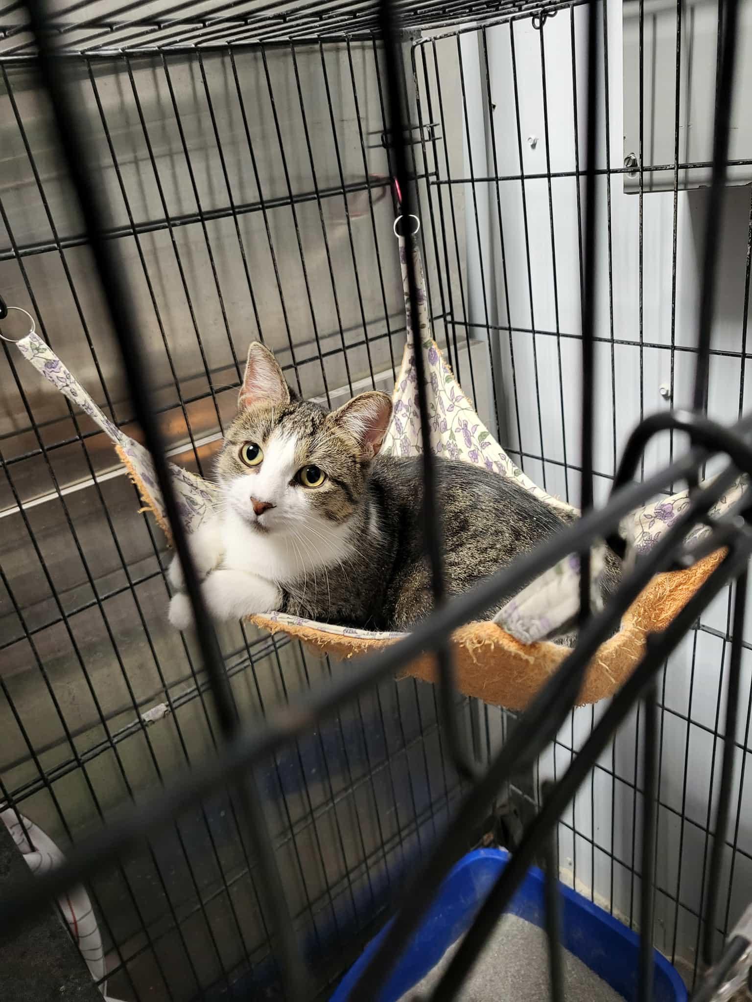 Kimmer — thumbnail 2