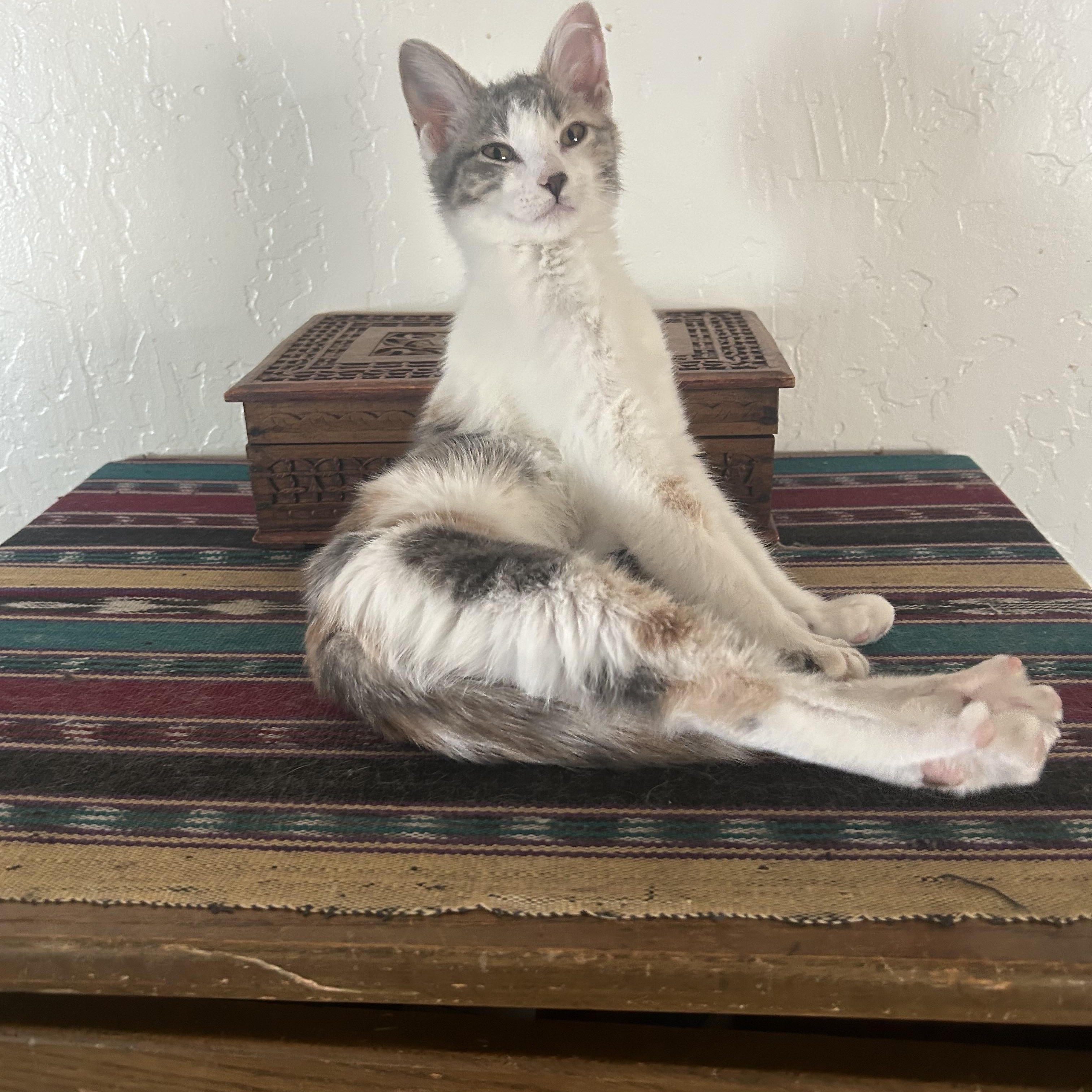 Angel