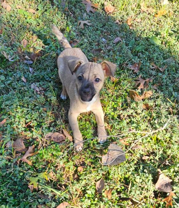 Larry In Tx thumbnail 2