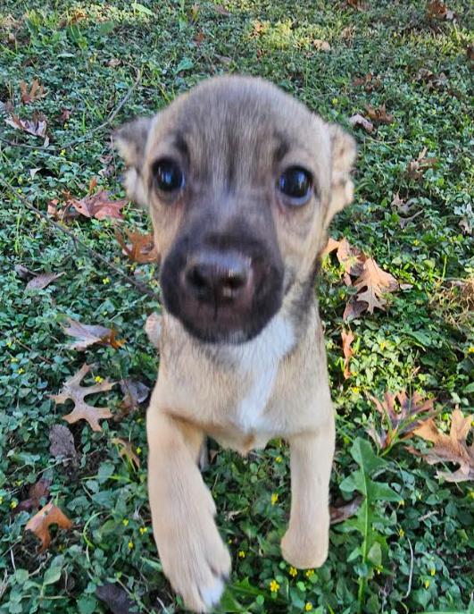 Larry In Tx thumbnail 3