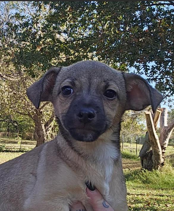 Larry In Tx thumbnail 4