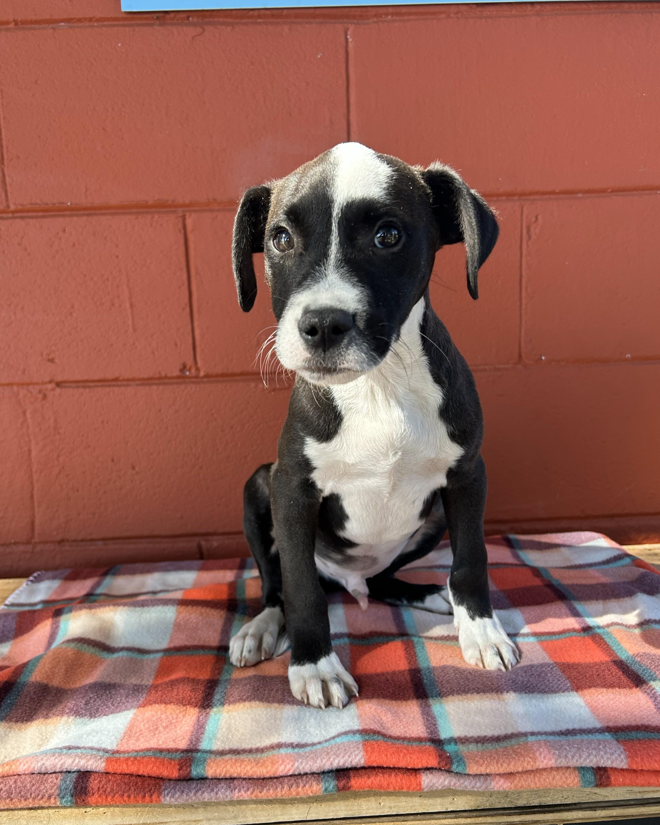 Cry Baby thumbnail 2