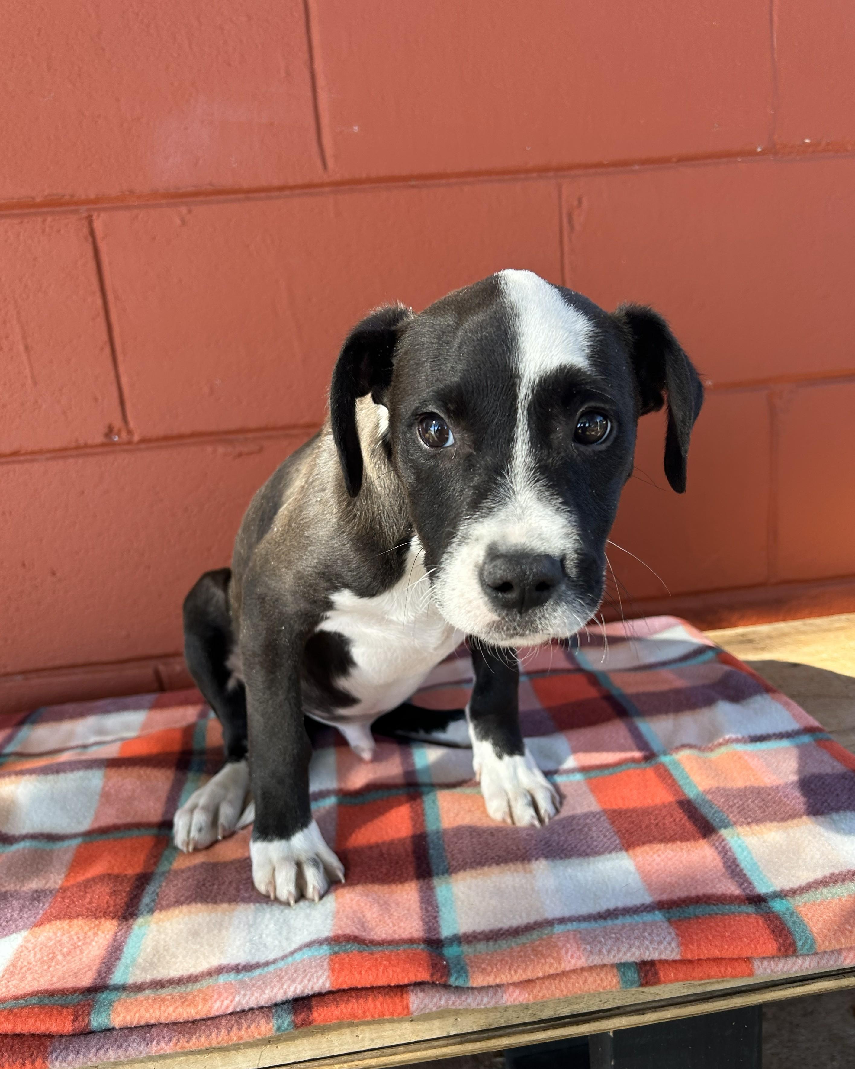 Cry Baby thumbnail 3