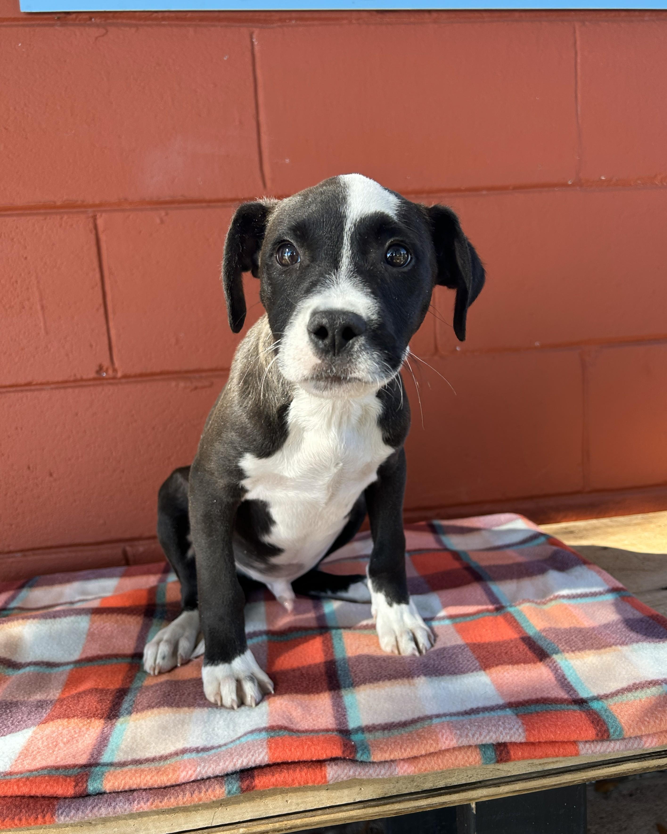 Cry Baby thumbnail 4