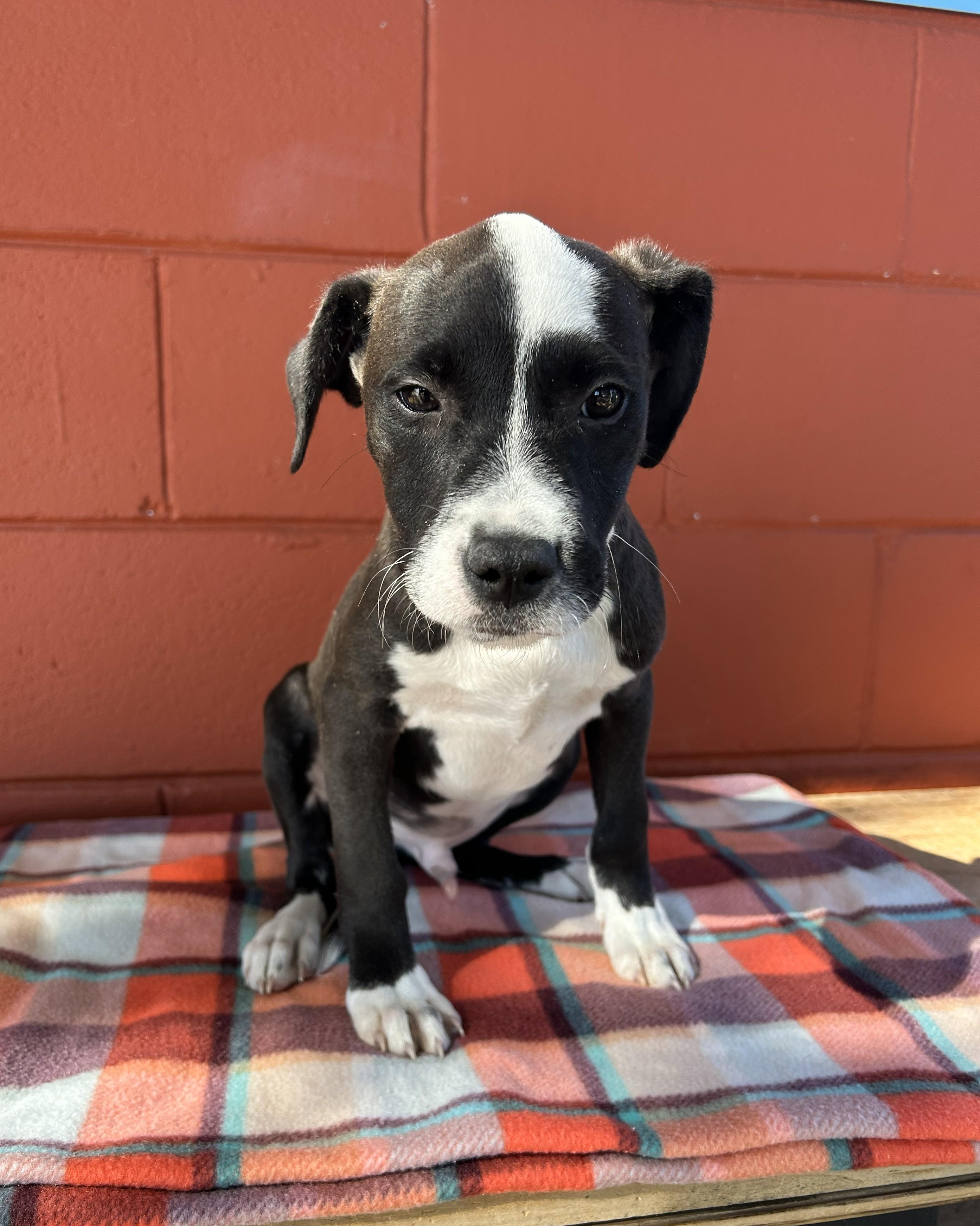 Cry Baby thumbnail 5