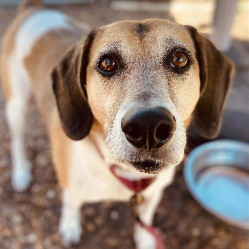 Eaton — thumbnail 2