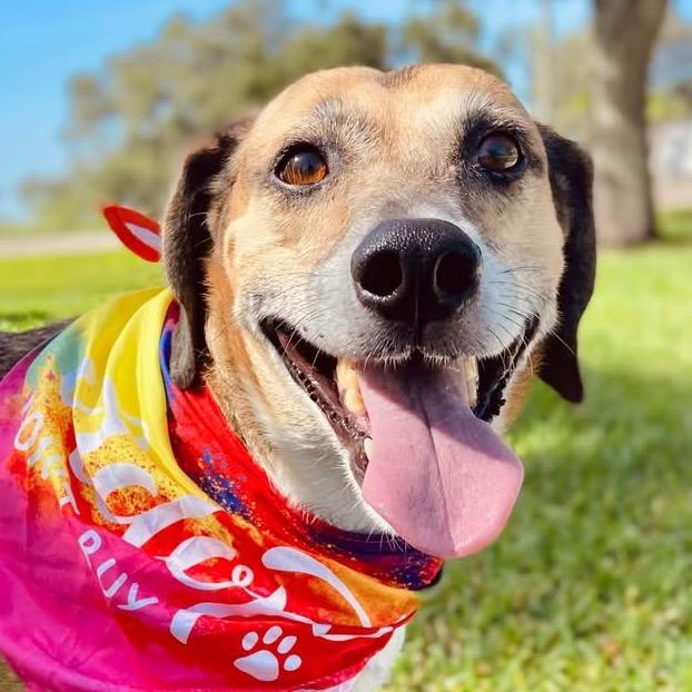 Eaton — thumbnail 3