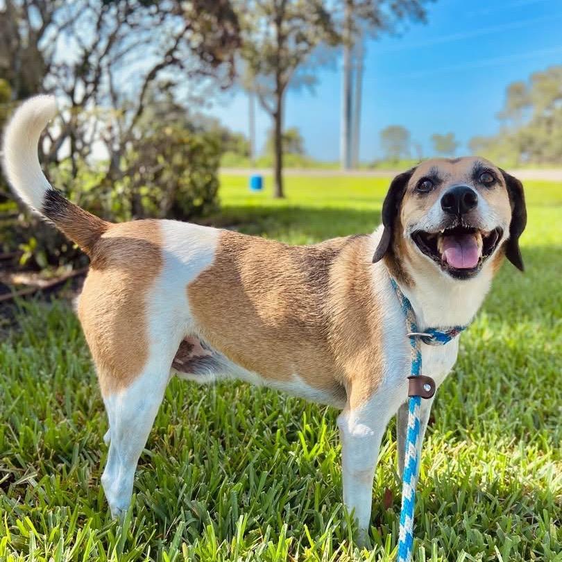 Eaton — thumbnail 4