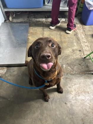 Oscar