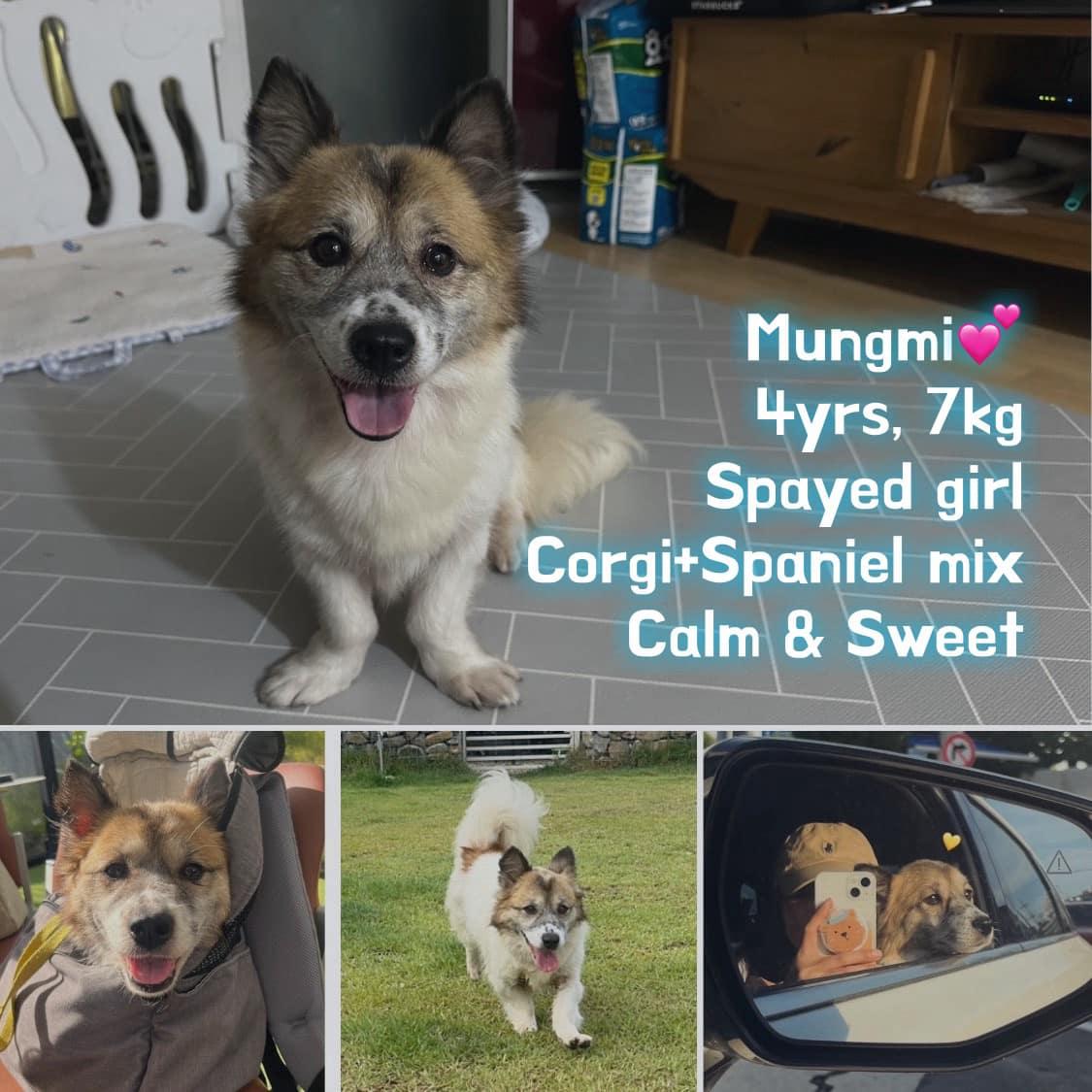 MUNGMI