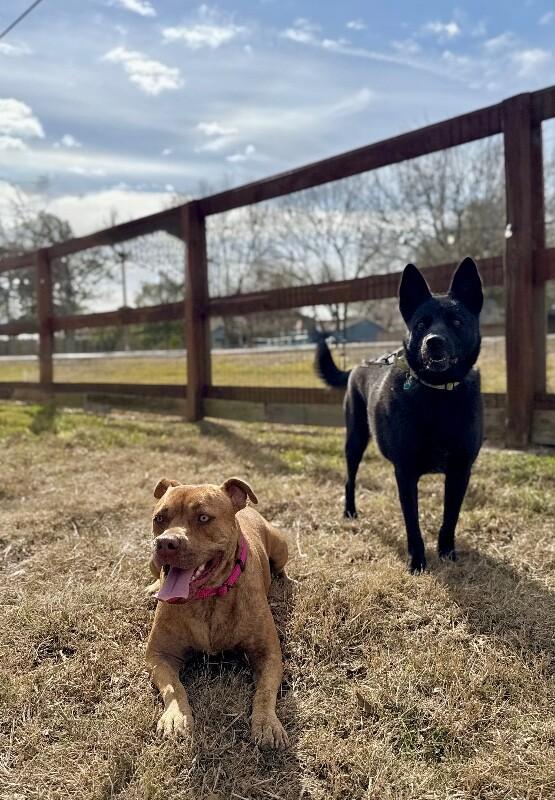 Dolly Lolly the Loveable Snuggle Queen — thumbnail 2