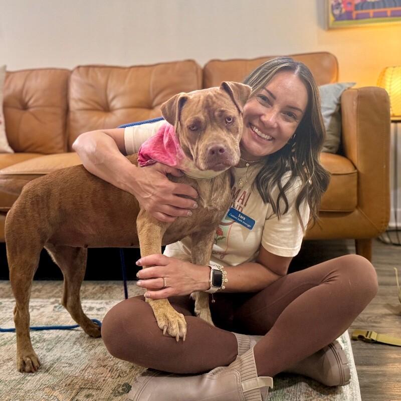 Dolly Lolly the Loveable Snuggle Queen — thumbnail 5