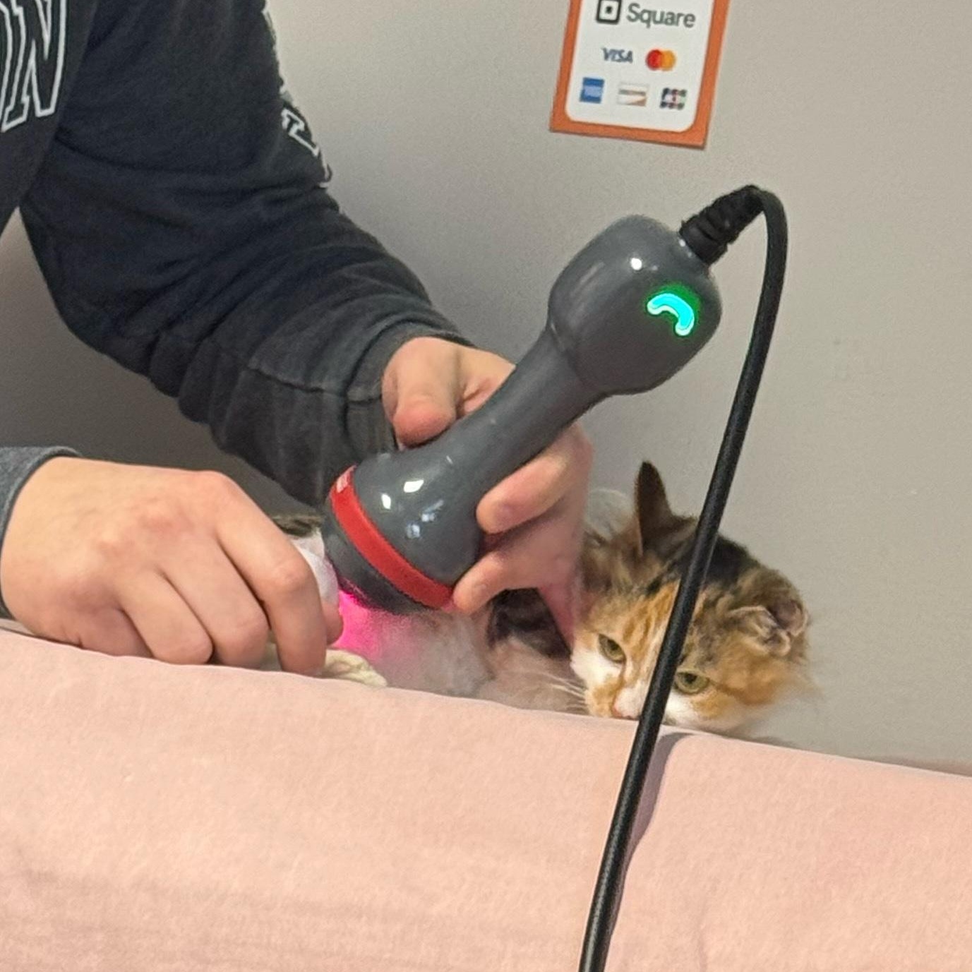 Cleocatra (Not on Site)