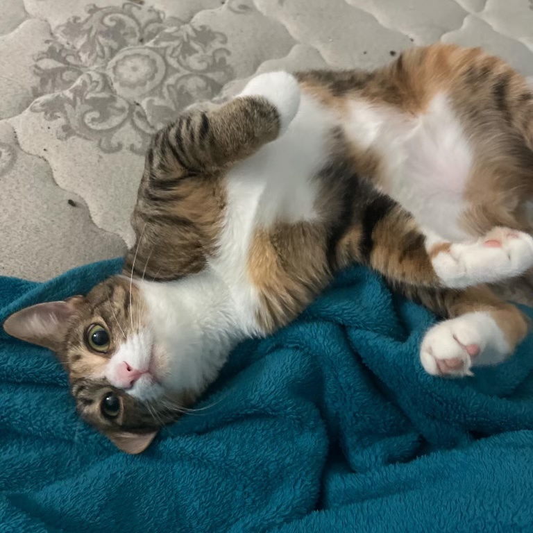 Mary Jane — thumbnail 2