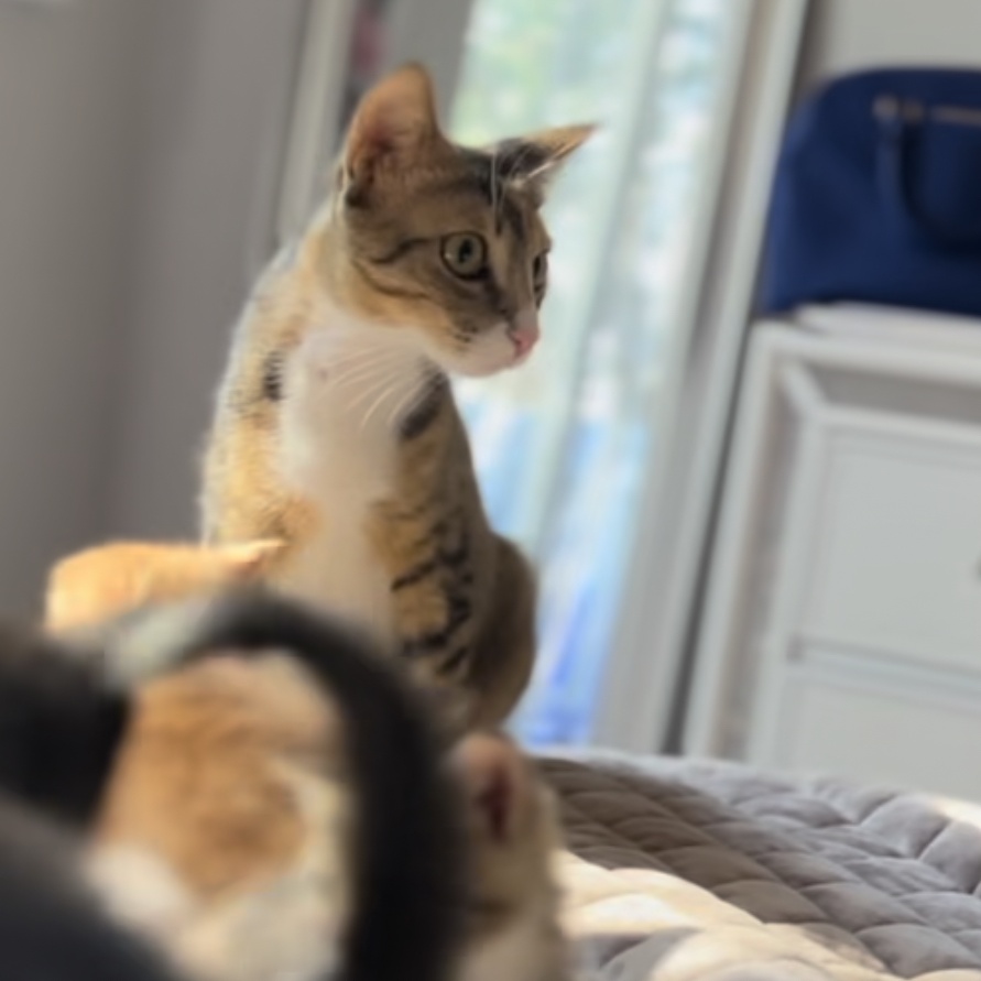 Mary Jane — thumbnail 4