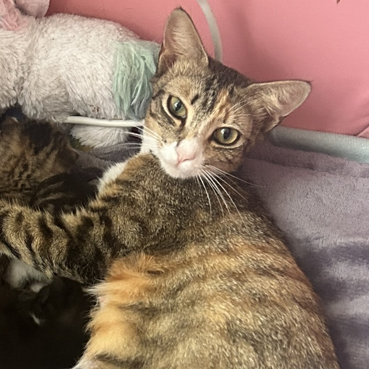 Mary Jane — thumbnail 5