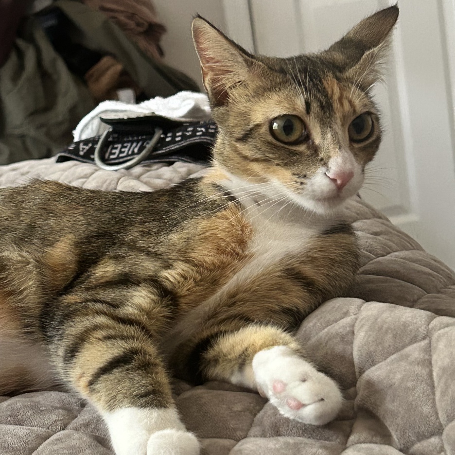 Mary Jane — thumbnail 6