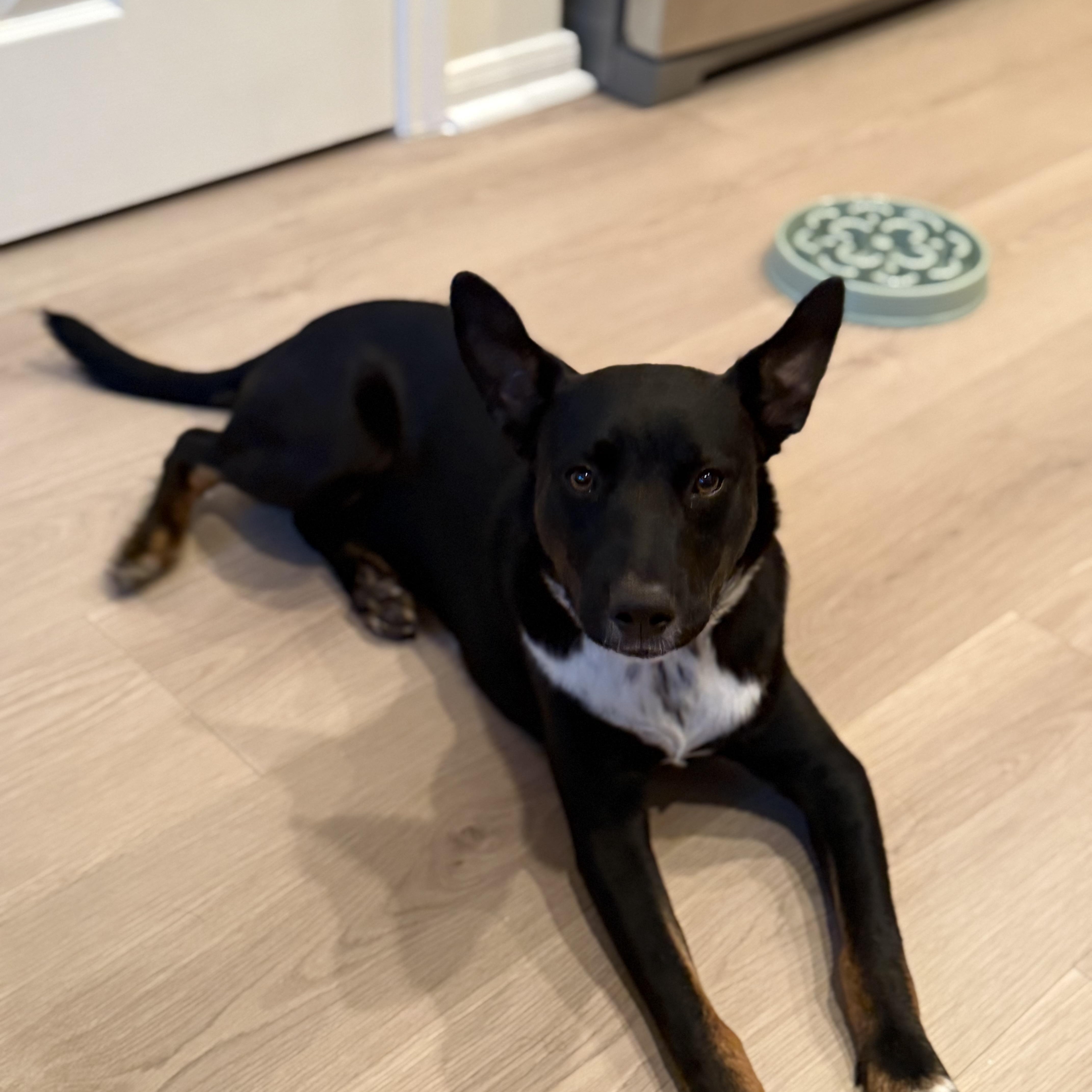 Paul — thumbnail 4