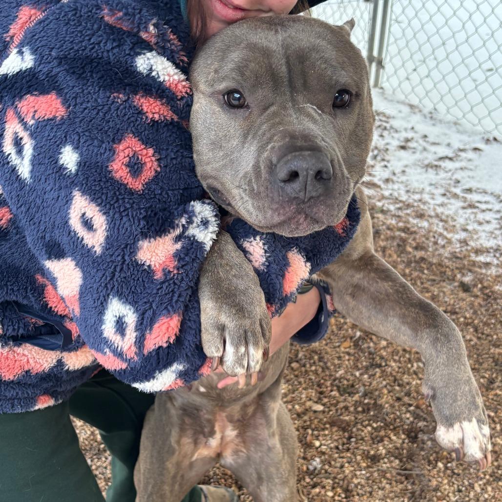 Fantine 2 — thumbnail 3