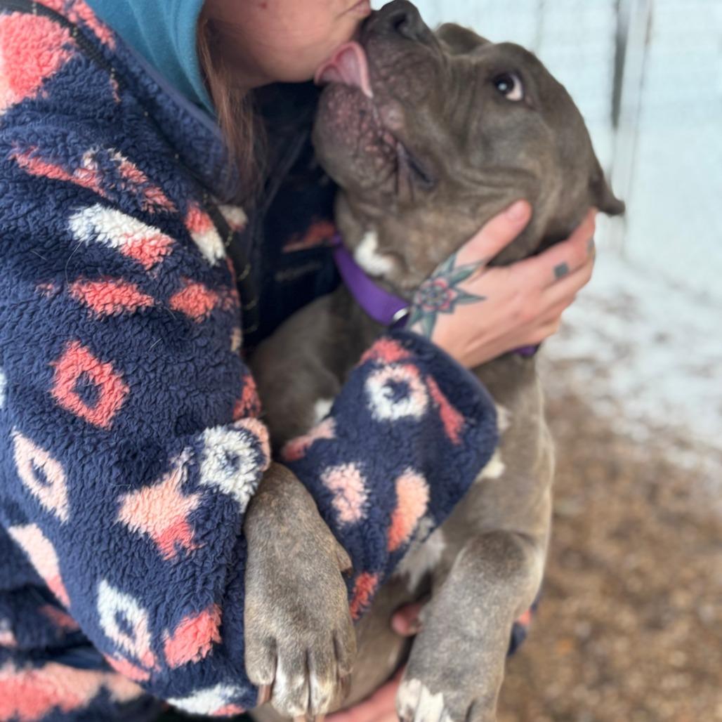 Fantine 2 — thumbnail 4