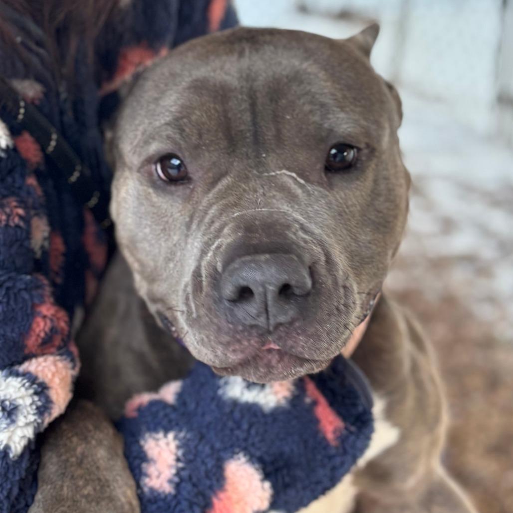 Fantine 2 — thumbnail 5