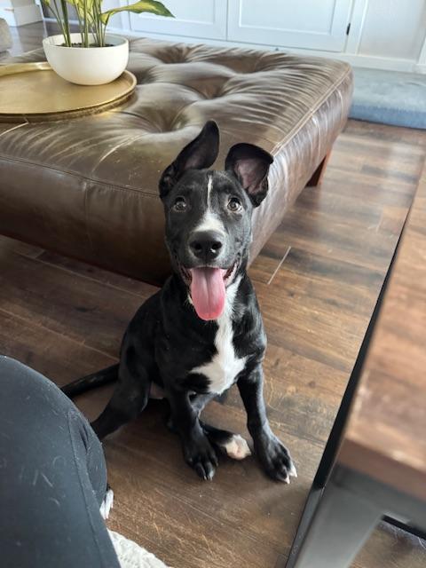 Zoey