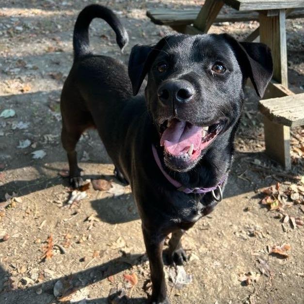 Girly Pop thumbnail 2